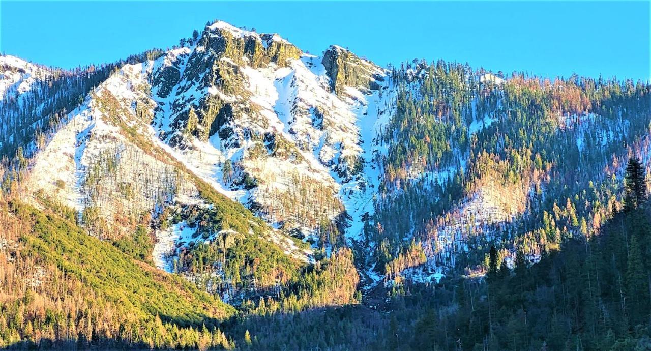 Sequoia Trails, Mountains, Fun & Relax Villa Ponderosa Buitenkant foto