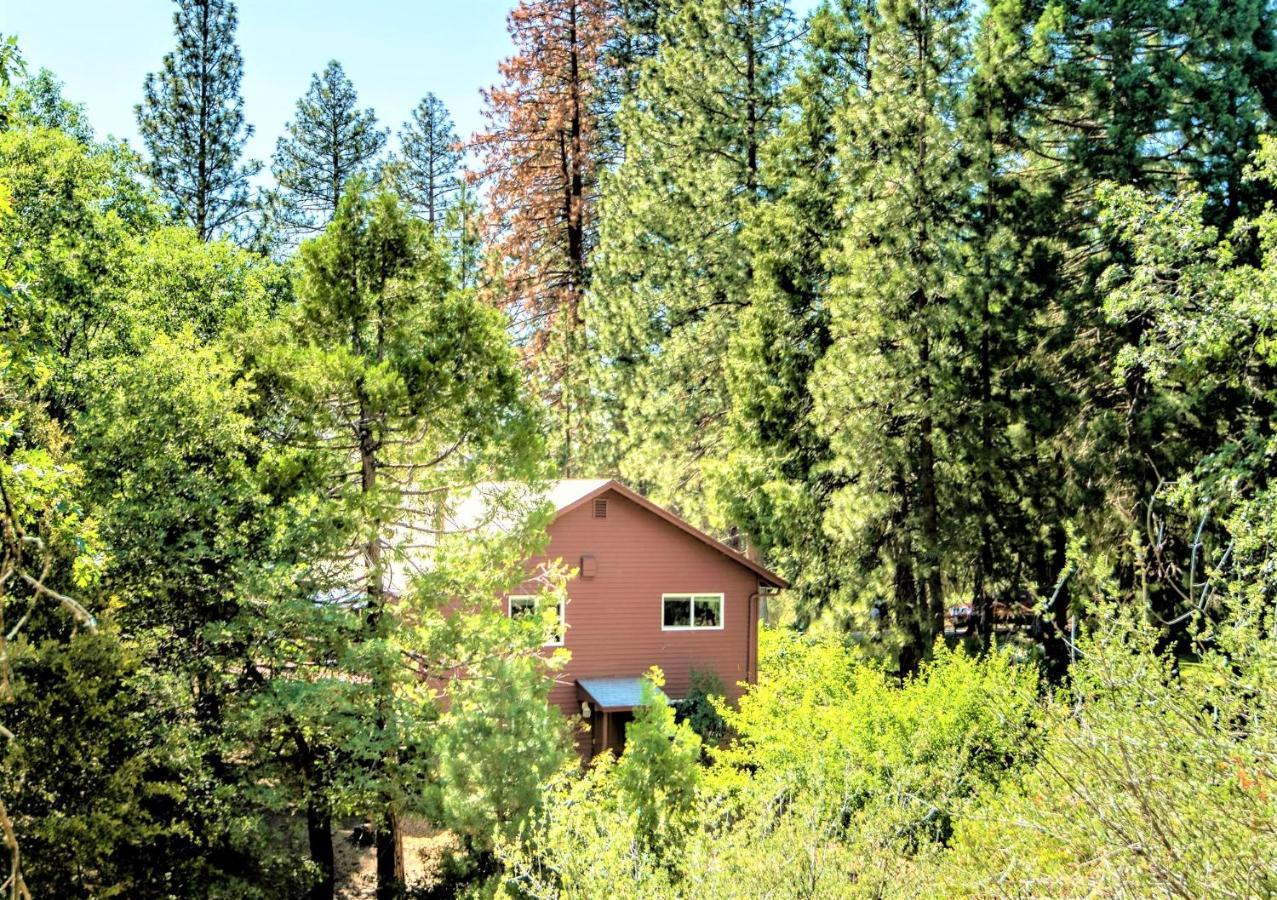 Sequoia Trails, Mountains, Fun & Relax Villa Ponderosa Buitenkant foto