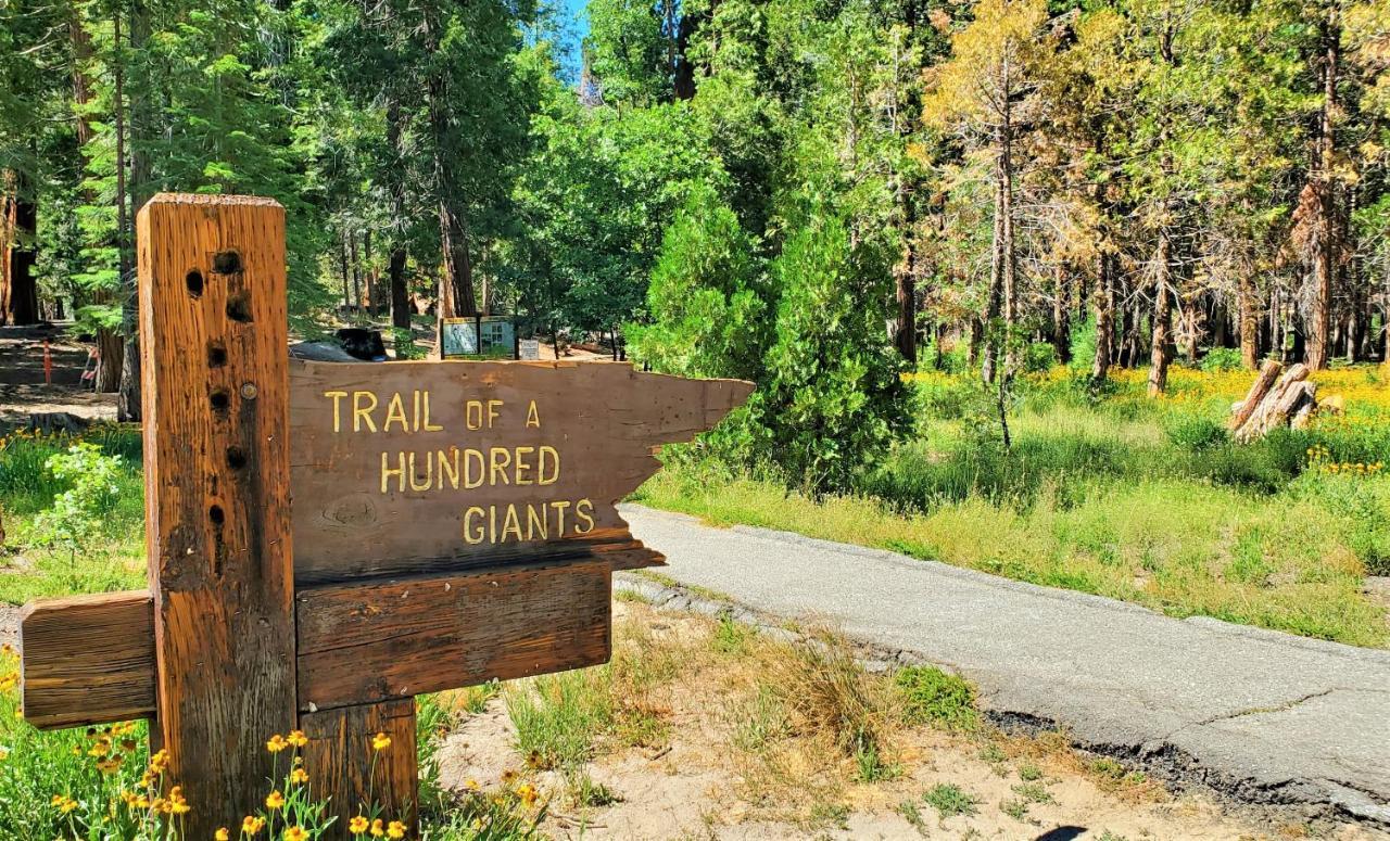 Sequoia Trails, Mountains, Fun & Relax Villa Ponderosa Buitenkant foto